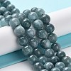 Dyed Natural Malaysia Jade Beads Strands G-G021-01B-01-2