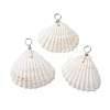 Natural Ark Shell Pendants PALLOY-JF02679-02-1