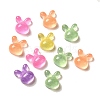 Transparent Resin Decoden Cabochons with Glitter Powder RESI-E053-08D-1