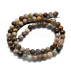 Natural Grey Moonstone Beads Strands G-P457-C02-08-3