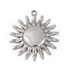 304 Stainless Steel Pendants STAS-D366-01A-P-1