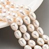 Natural Cultured Freshwater Pearl Beads Strands PEAR-P062-14D-2