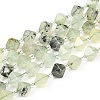 Natural Prehnite Beads Strands G-Z014-18-1