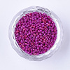 Baking Paint Cylinder Seed Beads SEED-Q036-02A-D10-2