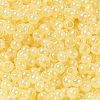 Glass Seed Beads SEED-H002-H-1302-3