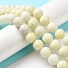 Natural Jade Beads Strands G-H298-A04-05-2