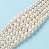 Natural Pearl Beads Strands PEAR-E018-67-2