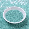 MIYUKI Round Rocailles Beads X-SEED-G007-RR0536-2