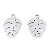 Non-Tarnish 304 Stainless Steel Charms LS-STAS-S107-05P-1