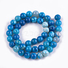 Dyed Natural Agate Beads Strands G-T109-10mm-02-2