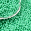 Opaque Acrylic Beads SACR-A007-01B-23-1