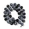 Natural Snowflake Obsidian Beads Strands G-G182-B35-03-3