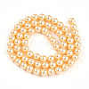 Baking Painted Pearlized Glass Pearl Bead Strands HY-N002-6mm-A09-3