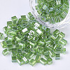 6/0 Glass Seed Beads SEED-S027-05B-12-1