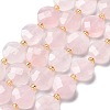 Natural Rose Quartz Beads Strands G-B094-A28-01-1