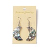 Abalone Shell/Paua Shell Dangle Earrings EJEW-F147-C15-2