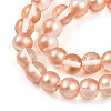 Baking Paint Transparent Glass Beads Strands DGLA-N011-10mm-04-3