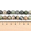 Natural K2 Stone Beads Strands G-K405-B03-10mm-6