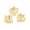 Brass Micro Pave Cubic Zirconia Pendants KK-B059-01G-4