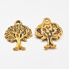 Tibetan Style Alloy Pendants X-GLF10394Y-NF-2