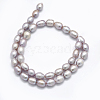 Natural Cultured Freshwater Pearl Beads Strands PEAR-F007-85-01-3
