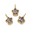 304 Stainless Steel Micro Pave Cubic Zirconia Charms STAS-U027-02G-03-1