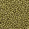 6/0 Glass Seed Beads X1-SEED-L011-08A-18-3
