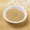 MIYUKI Round Rocailles Beads X-SEED-G007-RR0002-2