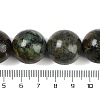 Natural African Turquoise(Jasper) Beads Strands G-G118-B03-01-5