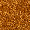 TOHO Round Seed Beads X-SEED-TR11-0030F-2