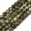 Natural Green Lepidolite Beads Strands G-K350-B01-6mm-2