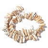 Dyed Natural Trochus Shell Beads Strands X-SSHEL-C013-09K-2