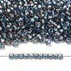 TOHO 6/0 Round Beads SEED-TR06-0272-2