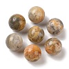 Natural Crazy Agate No Hole Sphere Beads G-K353-04D-34-1