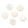 Natural Trochid Shell/Trochus Shell Beads SSHEL-R145-07-1