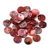Spray Painted Natural Akoya Shell Charms SHEL-F007-15A-2