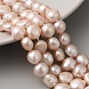 Natural Cultured Freshwater Pearl Beads Strands PEAR-A006-10F-3
