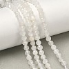 Natural White Moonstone Beads Strands G-B168-A12-4mm-1