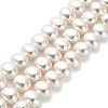 Electroplated Shell Pearl Beads Strands BSHE-C009-03A-1