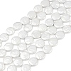 Electroplate Porcelain Imitation Pearl Beads Strands BSHE-Z009-02B-2