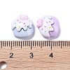 Opaque Cute Resin Decoden Cabochons X-RESI-B024-01G-3