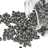 TOHO 6/0 Round Beads SEED-XTR06-0053D-1