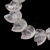 Natural Rose Quartz Beads Strands G-F783-G09-01-4