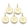 Alloy Pendants PALLOY-N157-004U-NR-1