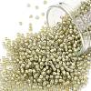 TOHO Round Seed Beads SEED-TR11-0369-1