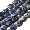 Natural Blue Spot Jasper Beads Strands G-I377-A12-2