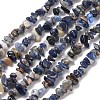 Natural Sodalite Chips Beads Strands F024-2