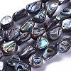 Natural Abalone Shell/Paua Shell Beads Strands SSHEL-F303-08B-1