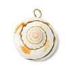 2Pcs 2 Colors Natural & Synthetic Shiva Eye Shell Pendants PALLOY-JF03383-3