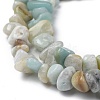 Natural Flower Amazonite Chip Bead Strands X-G-M205-12-2